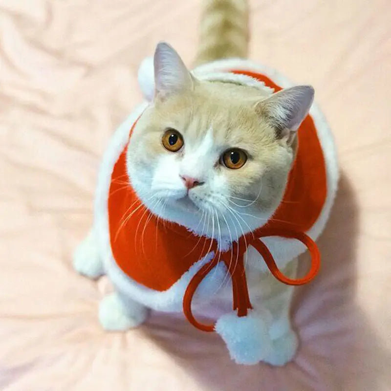 Santa Paws Christmas Pet Cape